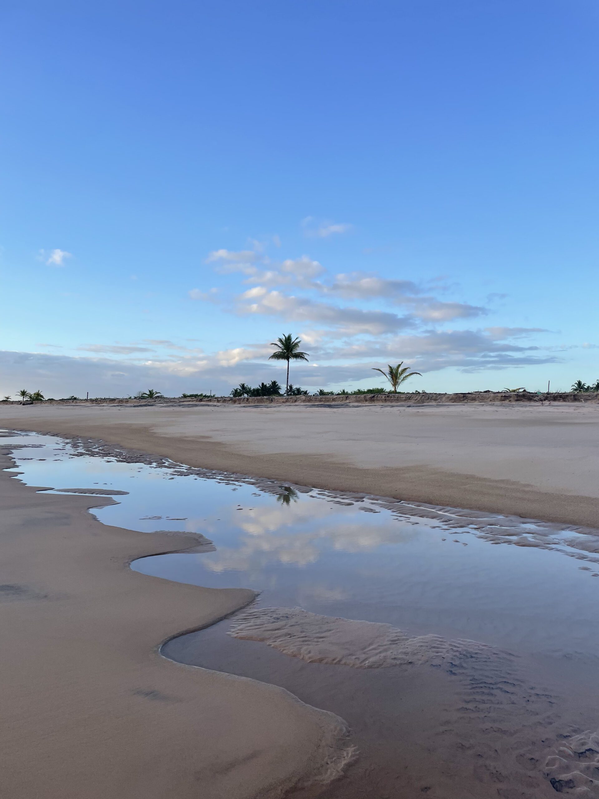 774E8595-283B-4F32-AE23-C4AC2E5FEEA3